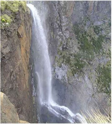naturaleza naturaleza