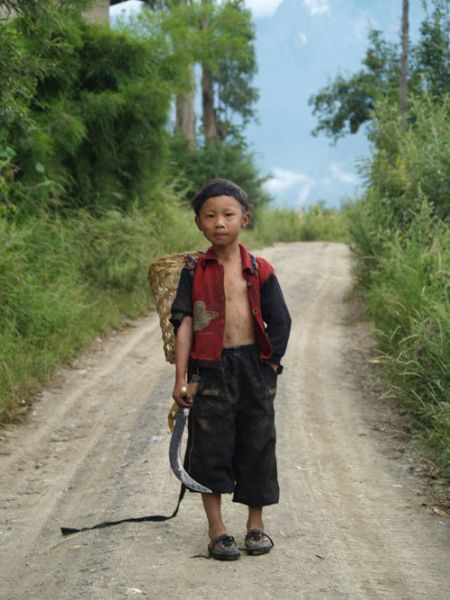 Zhang Da, The Story of a Child The epitome of Chinese Affairs