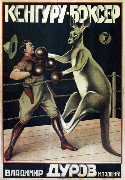 [canguro.jpg]
