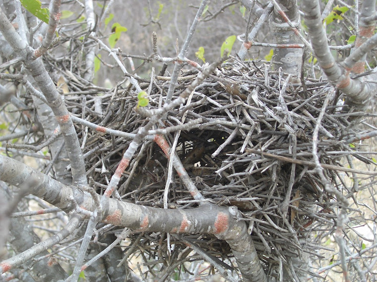 RESERVA ECOLÓGICA