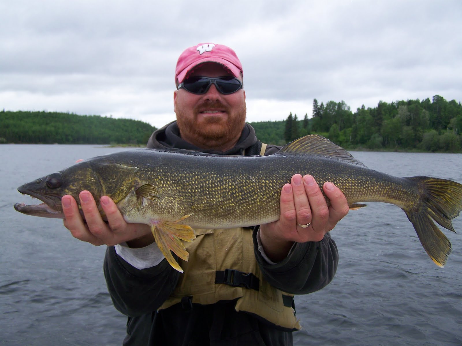 Dogfish+pictures+wisconsin