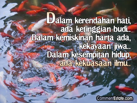 dicatat oleh maz di 12 16 pg label kata kata hikmah