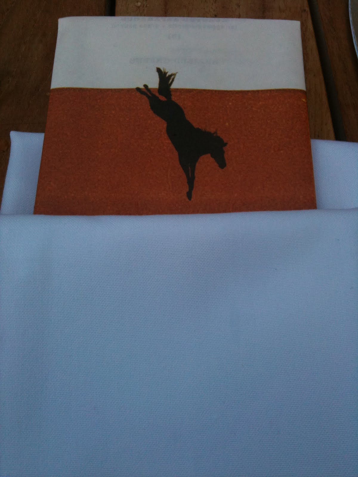 Philly Phoodie The Diving Horse, Avalon part two.