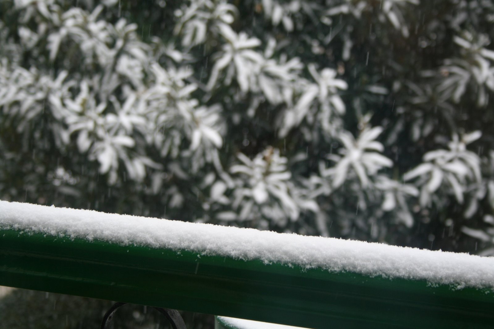 [IMG_9130_0271.JPG]