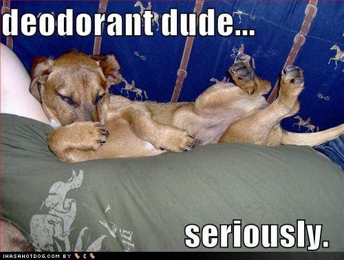 [deoderant.bmp]