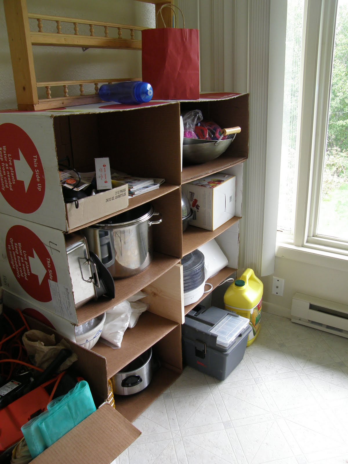 [KIT-shelf.JPG]