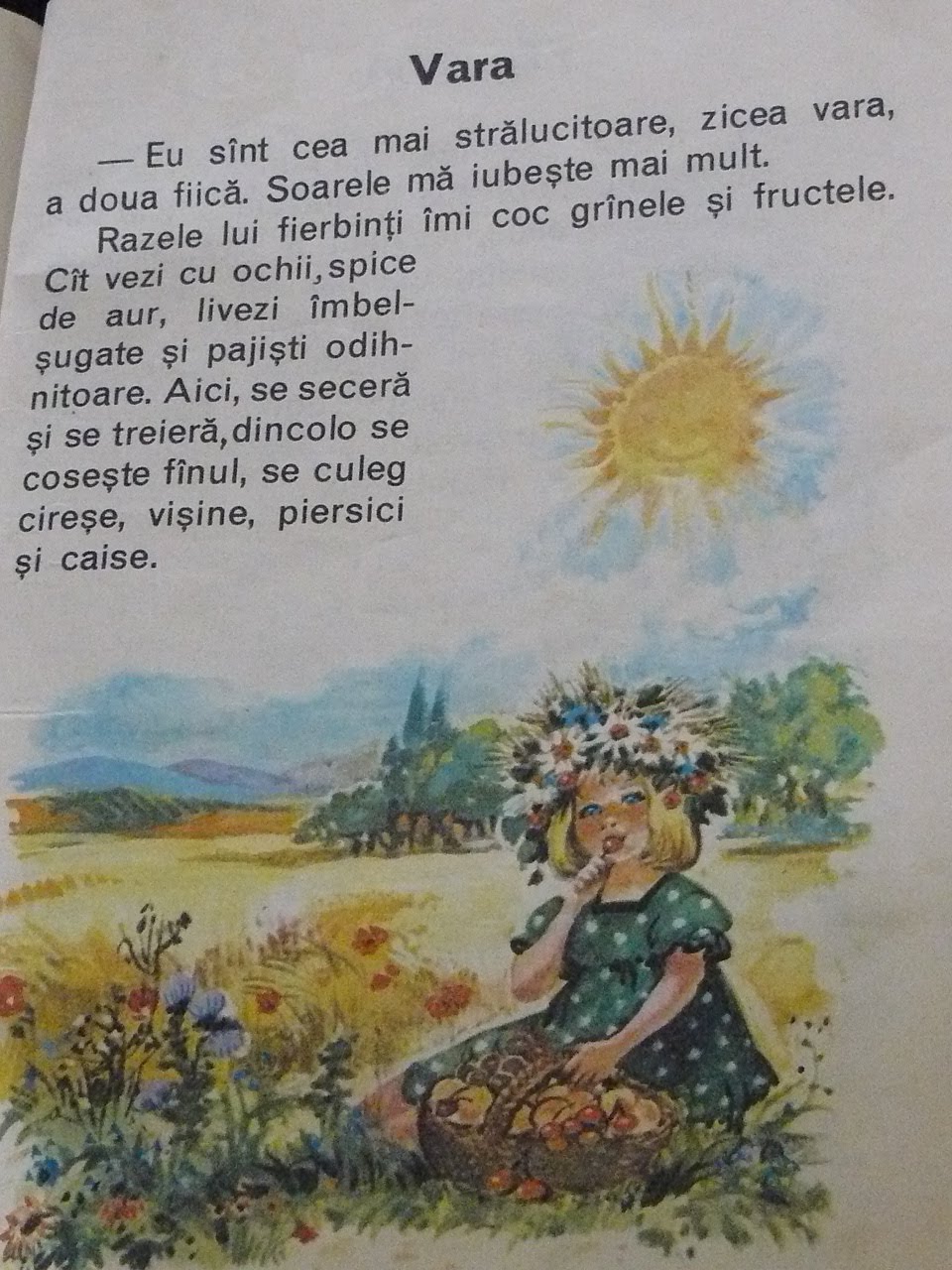 [P1090831.JPG]