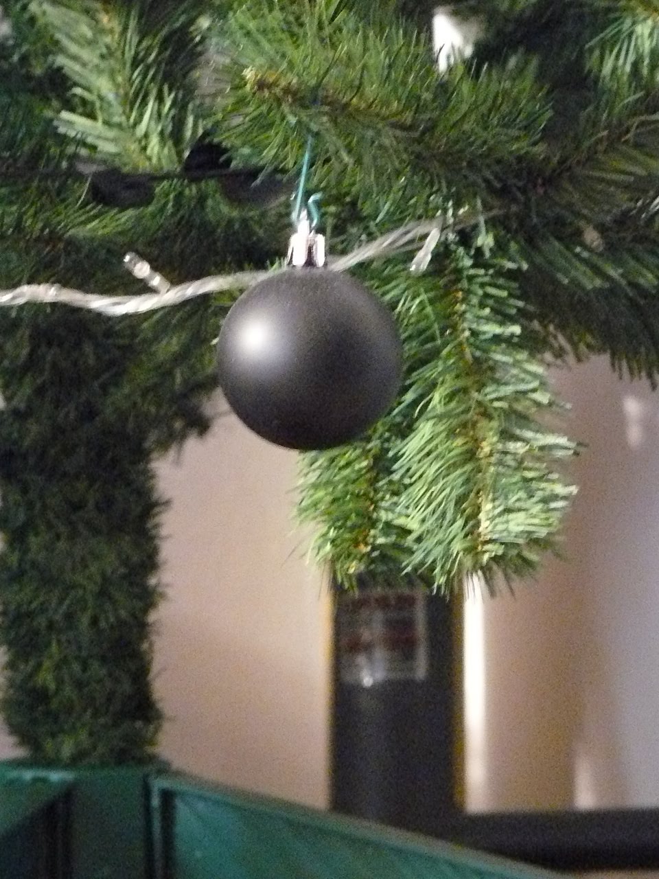 [P1100139.JPG]