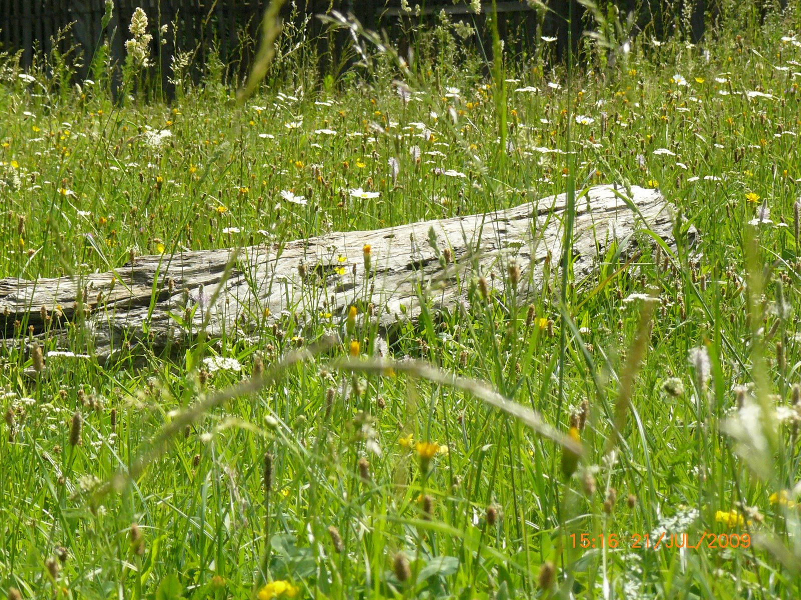 [P1040935.JPG]
