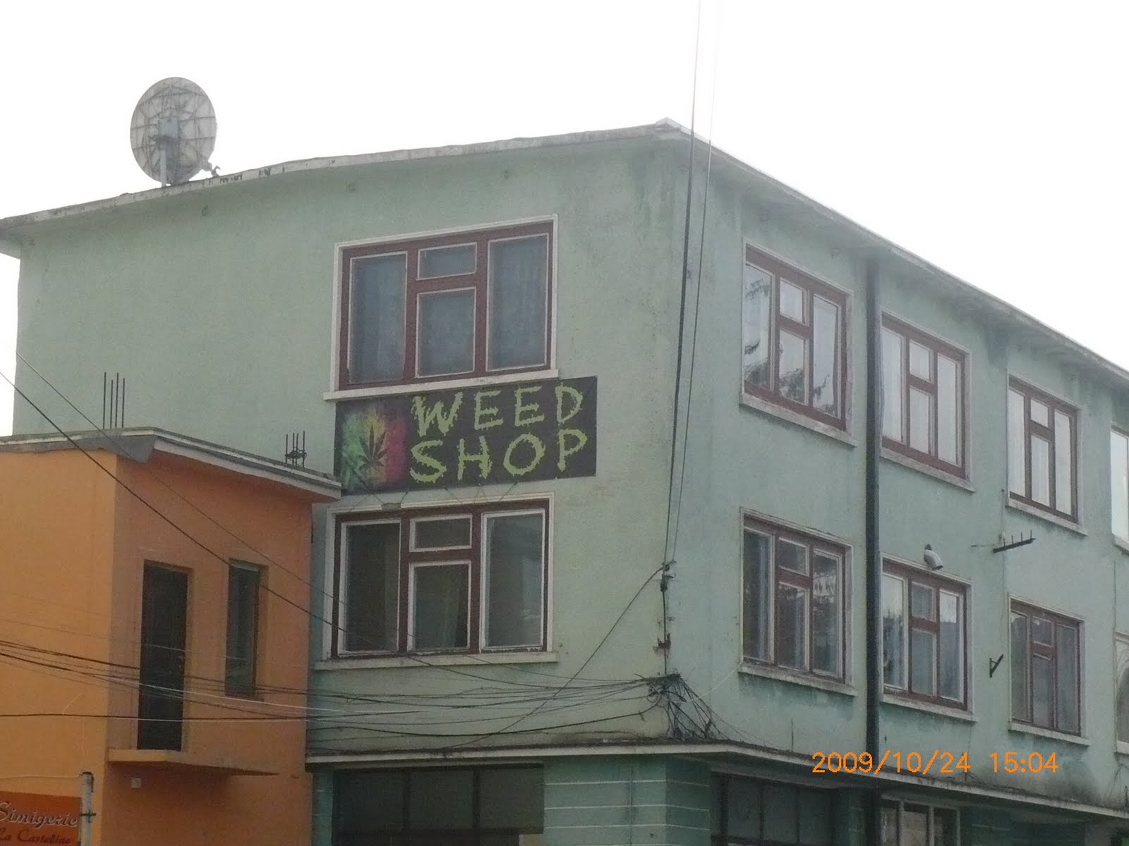 [P1130246.JPG]