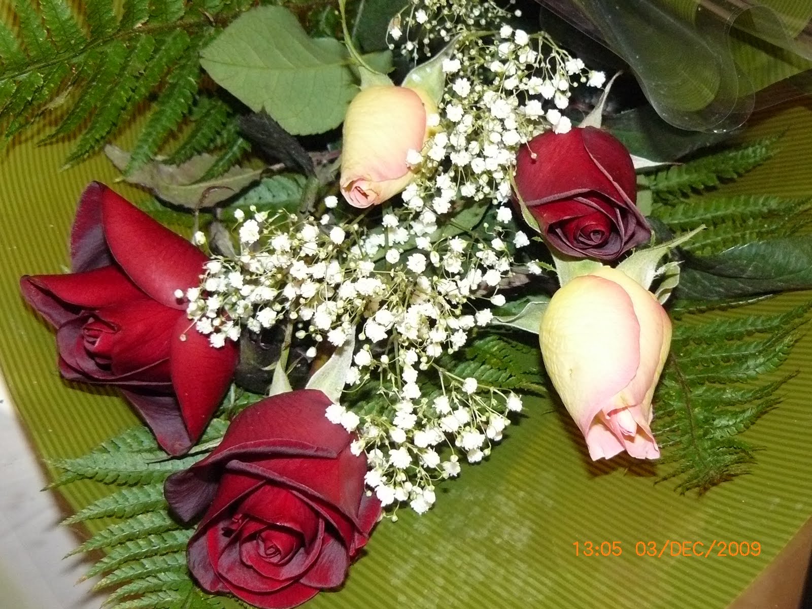 [FLORILE+MELE.JPG]