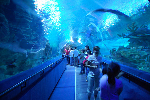 an interesting place in malaysia Everywhere has been great, but kuala lumpur is our pick for the best place for a family trip in malaysia we have just loved our stays here, partly because of. an interesting place in malaysia Everywhere has been great, but kuala lumpur is our pick for the best place for a family trip in malaysia we have just loved our stays here, partly because of.