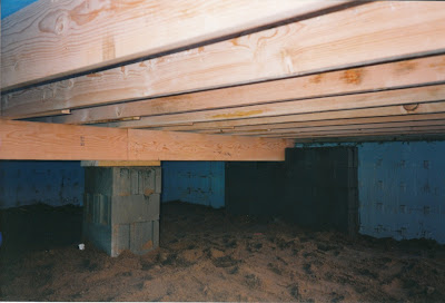 How can I utilize my basement crawl space effectively?: DIY - Reddit