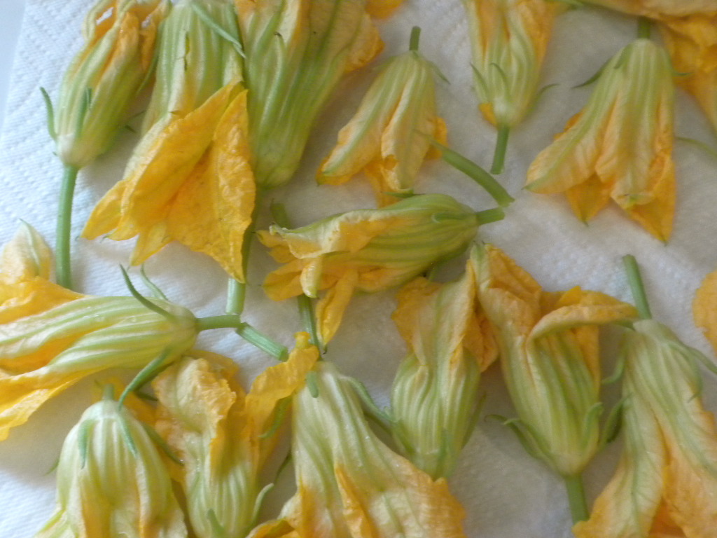 Life is Delicious Tempura Fried Squash Blossoms Stuffed with Goat