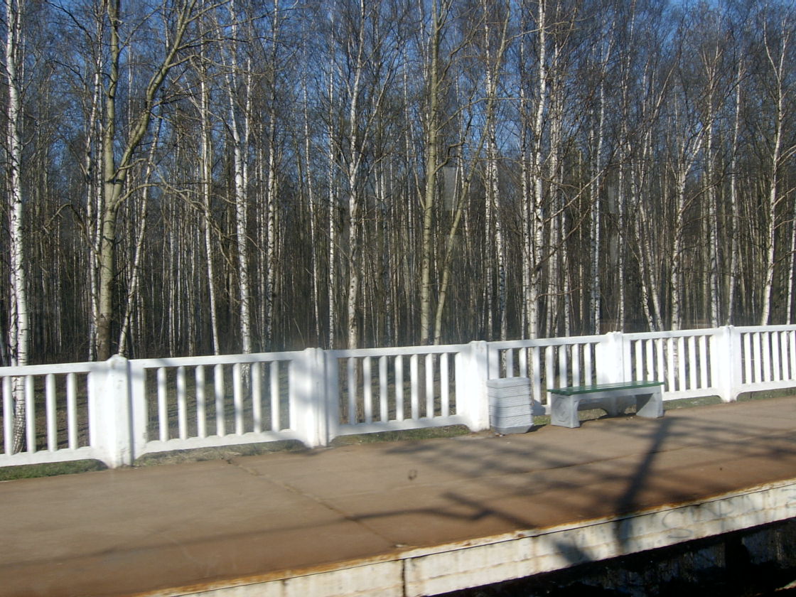 [11+Платформа+Университет.JPG]