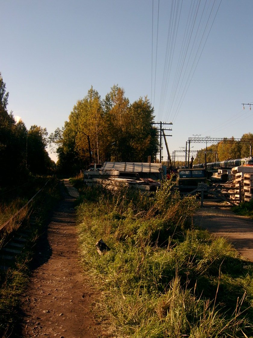 [Дорога+к+платформе.JPG]