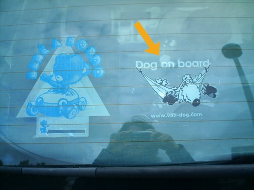 [vandog.jpg]
