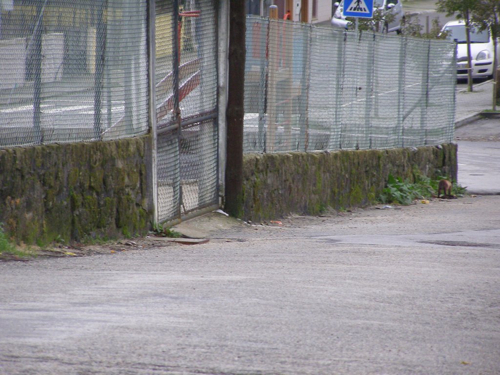 [P1010092.JPG]