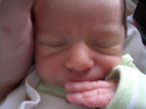 Bashful