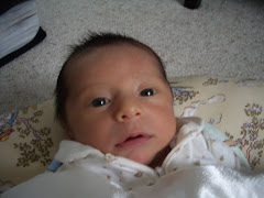3 weeks old December 19th.