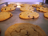 Super Yummy Double Chocolate Chip Cookies