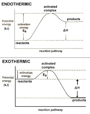 Chemistry 11: Endothermic V.S Exothermic Reactions