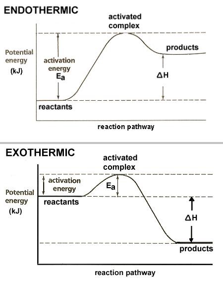 Ms J's Chemistry Class: Endo and Exo