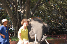Elephant Show in Thailand