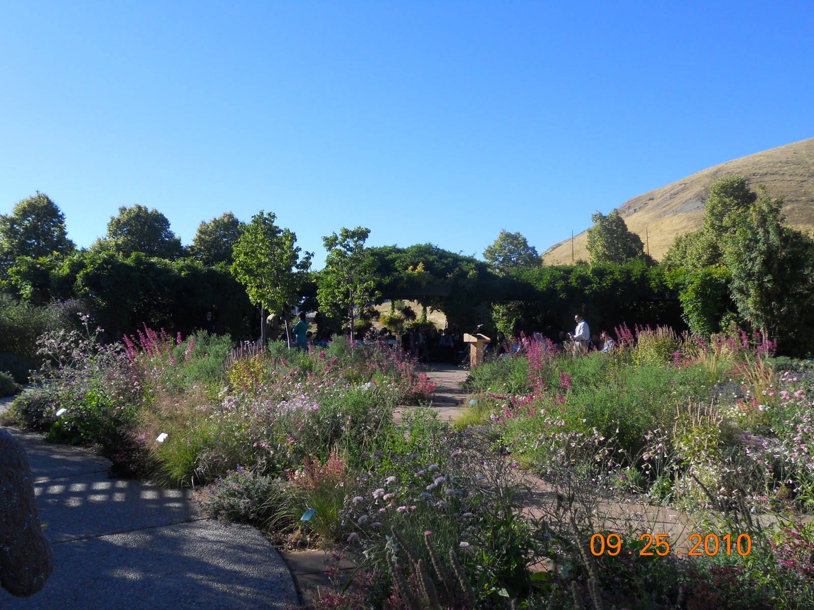 My Scenic Byway Red Butte Garden, Salt Lake City