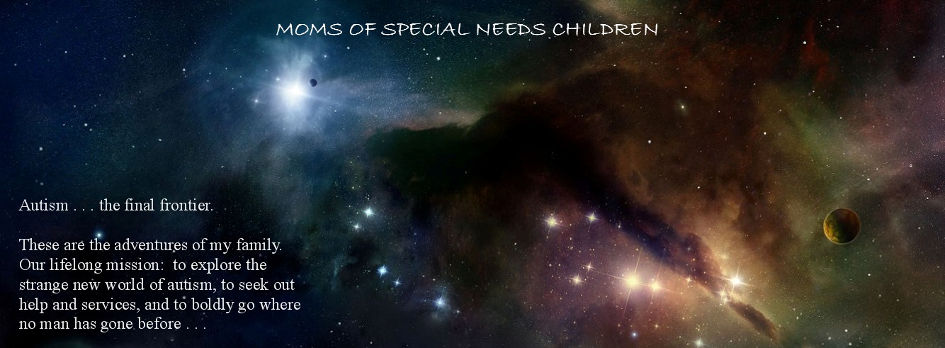 Moms of Special Needs Children