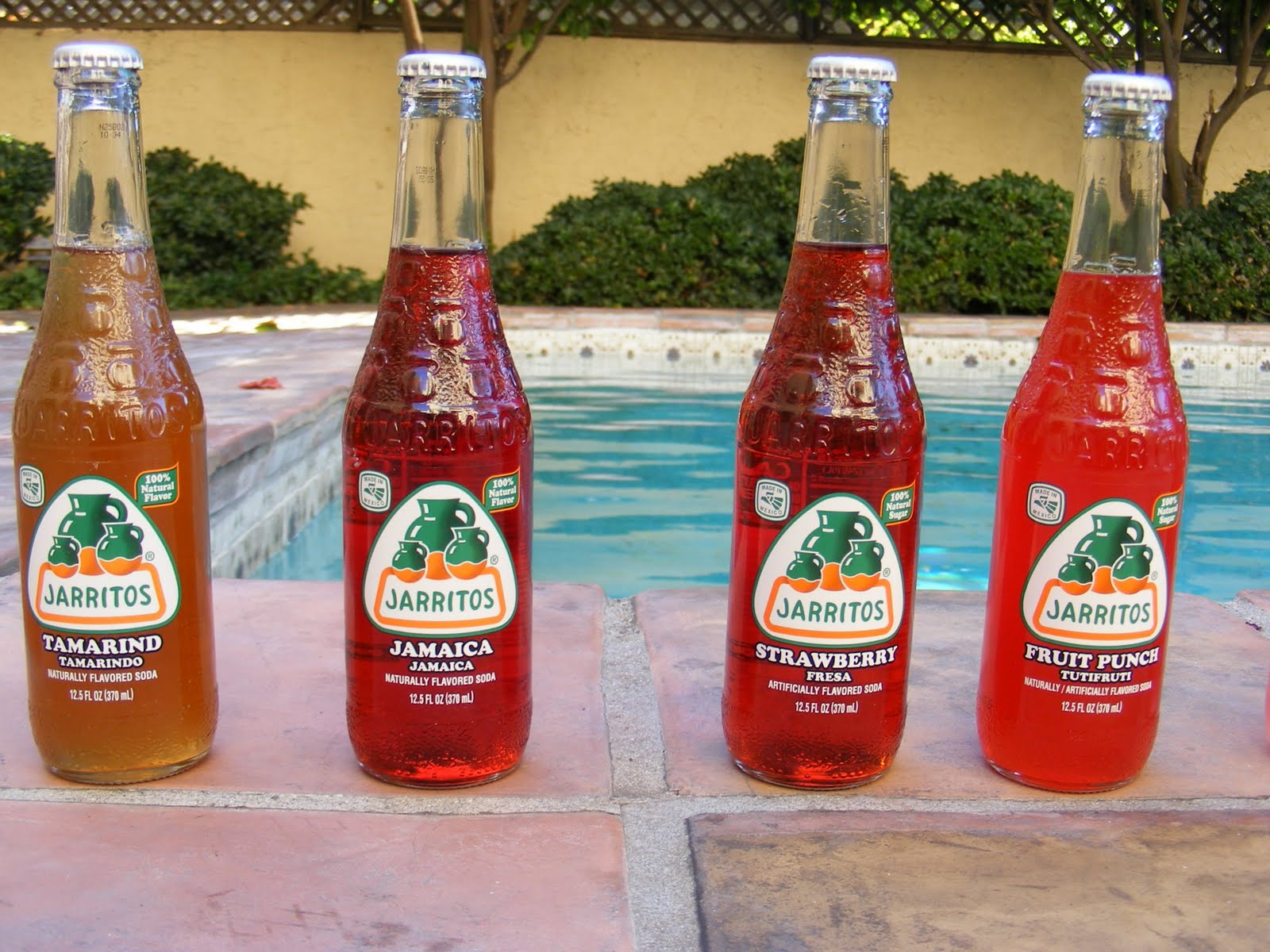 Street Gourmet LA Jarritos,Mexico's First National Soda,and My First