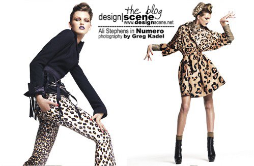 [Ali+Stephens+by+Greg+Kadel+04.JPG]