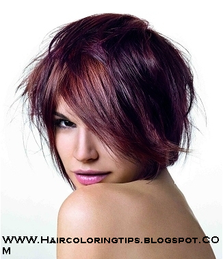 Short Hairstyles 2014 Purple Hair Color Ideas
