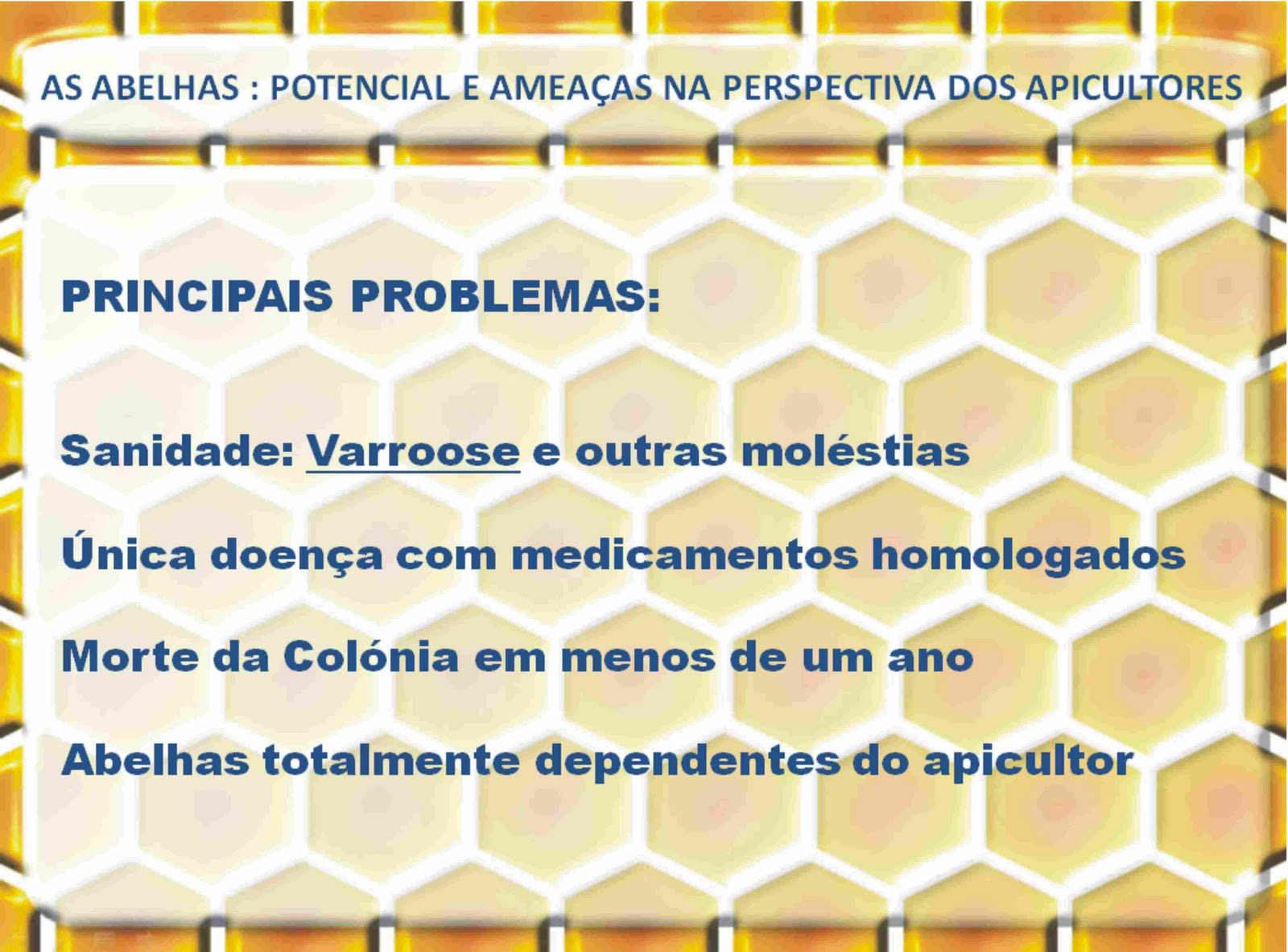 [moita_32.jpg]