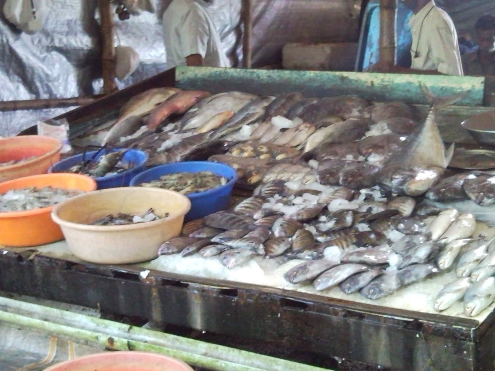 Bangalore restaurants Food and Travel Catch and Cook at Fort Kochi