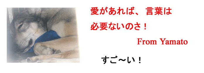 [114.jpg]