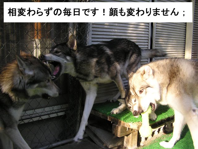 [119_1.jpg]