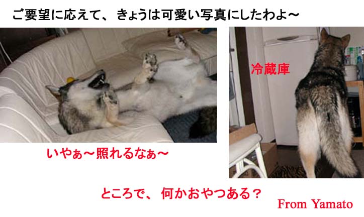 [6_21_3.jpg]