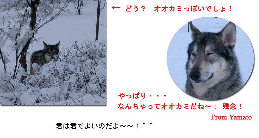 [7_18のコピー.jpg]