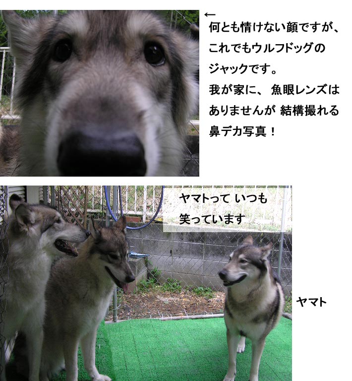 [7_31_1.jpg]