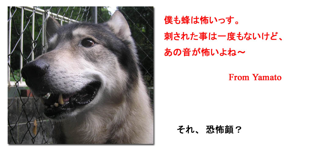 [9_4_2.jpg]