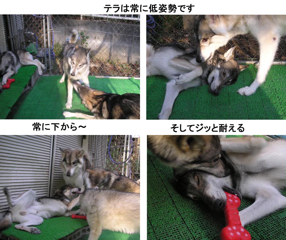 [11006_1.jpg]