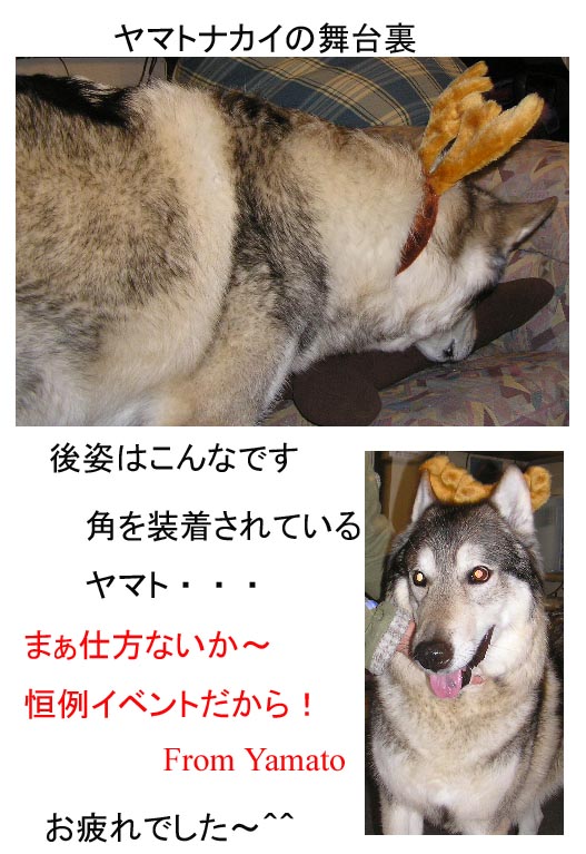 [1229.jpg]