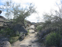 Desert Pathways