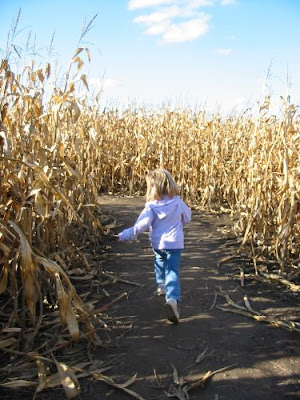 Joy in corn maze