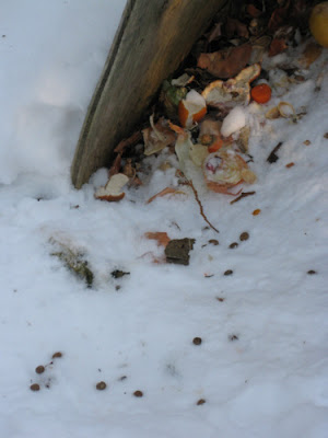 Bunny Compost