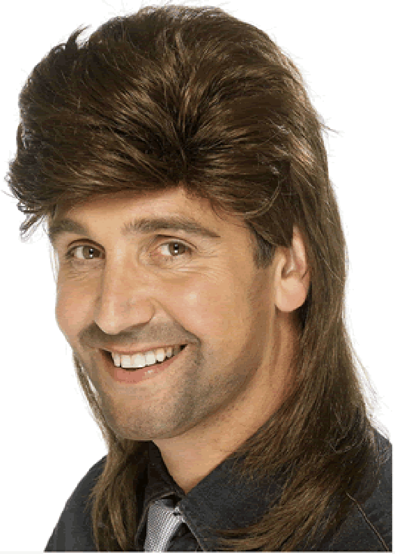 Mullet Hair Cut