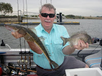 chatswood bait and tackle