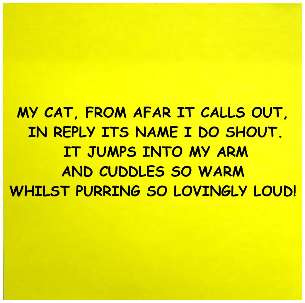 cat limerick