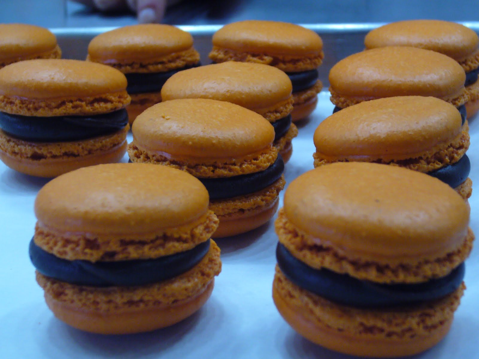 The Tasty Memoir The French Pastry School Chicago, IL